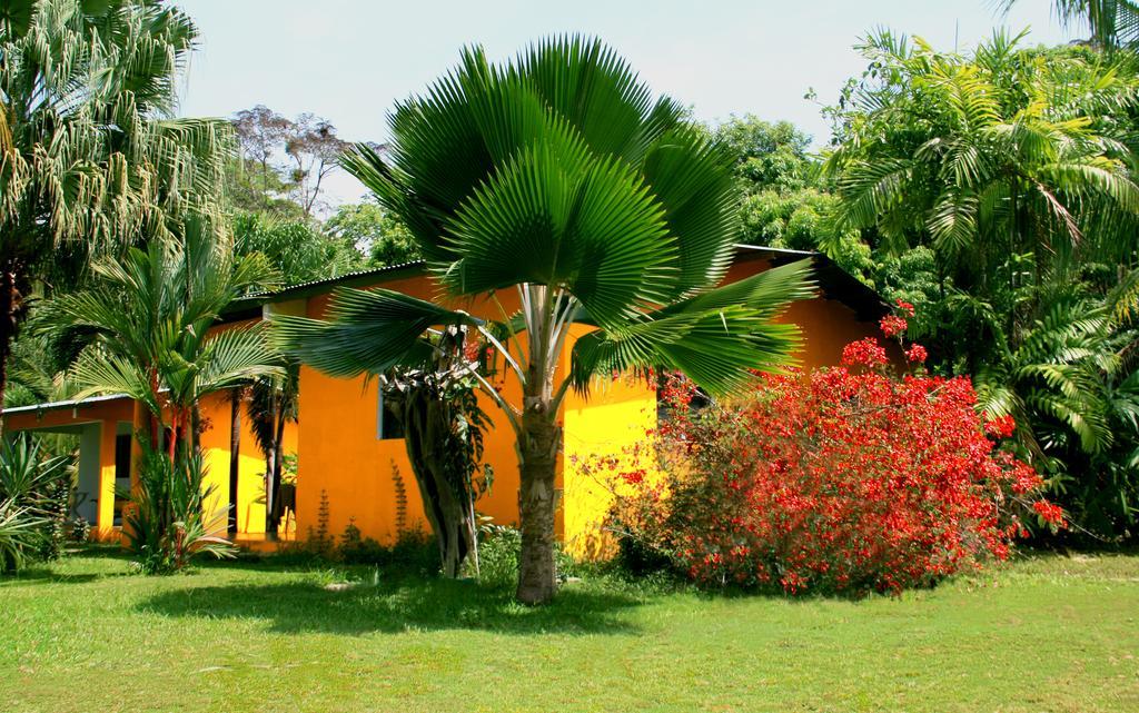 El Ranchito Surfcamp Hotel Pedregal Exterior foto
